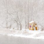 A small house on a heavy snowfall